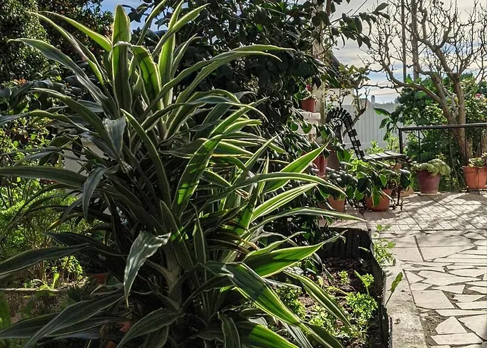 Casa E Piscina Da Avo Rosa 3*