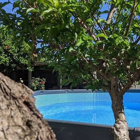 Guest house Da Avo Rosa