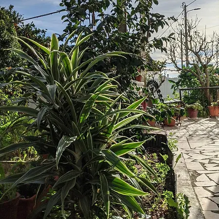 Casa E Piscina Da Avo Rosa 3*