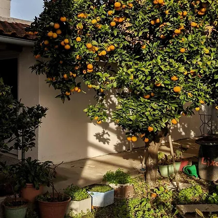 Гостевой дом Casa E Piscina Da Avo Rosa